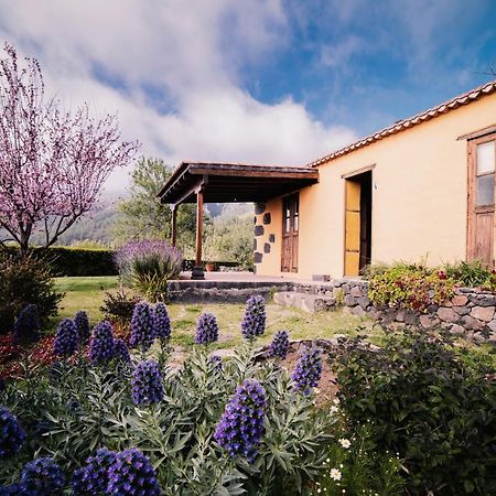 فيلا Casa Elena تيخارافي المظهر الخارجي الصورة