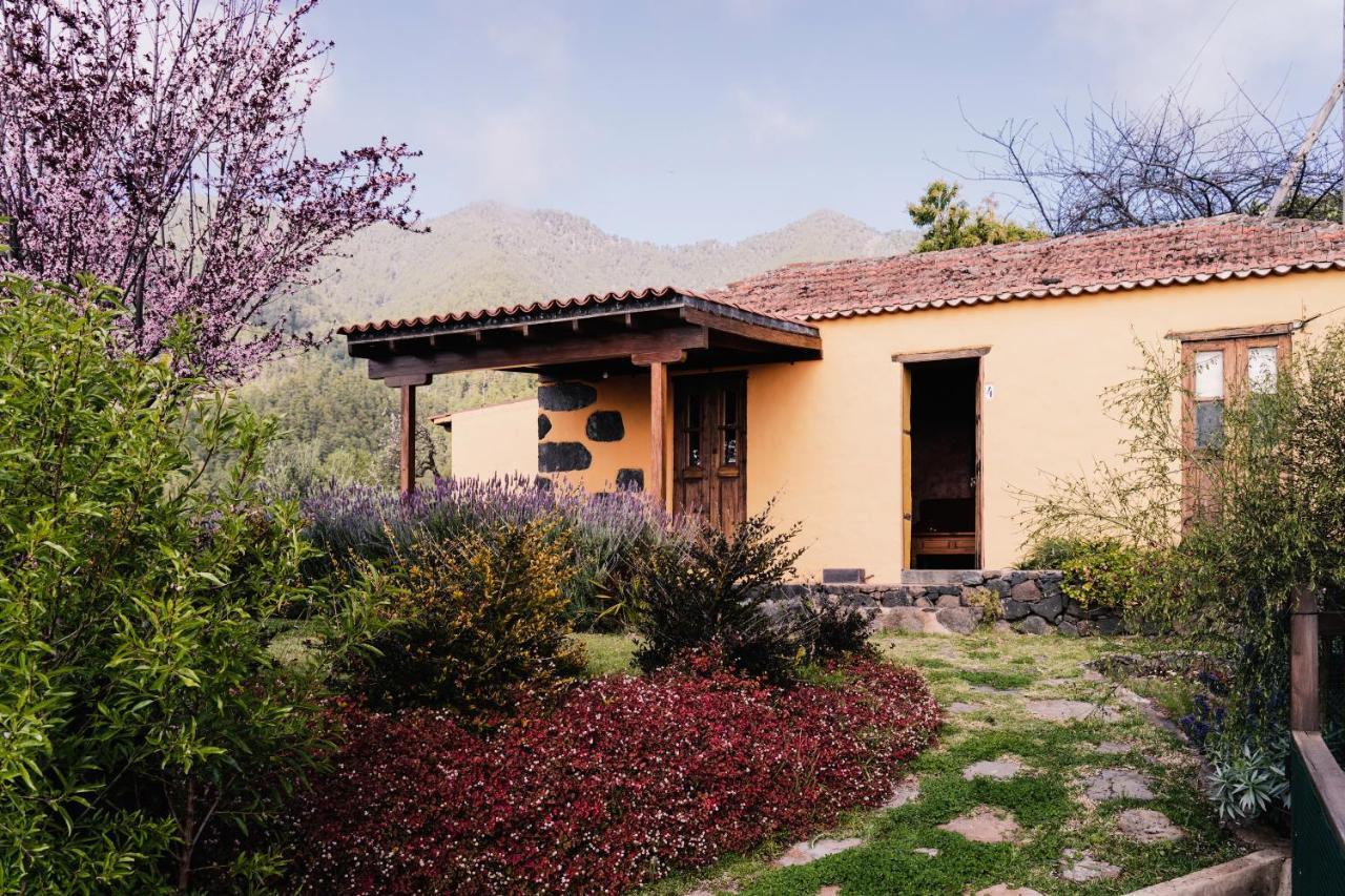 فيلا Casa Elena تيخارافي المظهر الخارجي الصورة